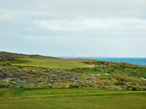 Cape Wickham 3rd Birds